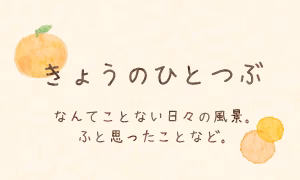 きょうのひとつぶ